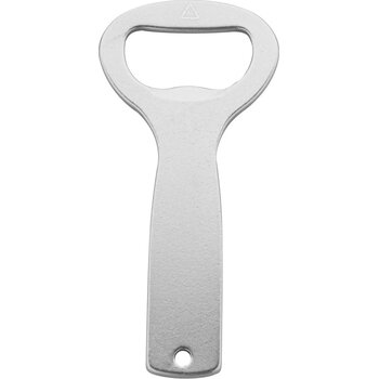 Zilver - 100 Zilver - 100