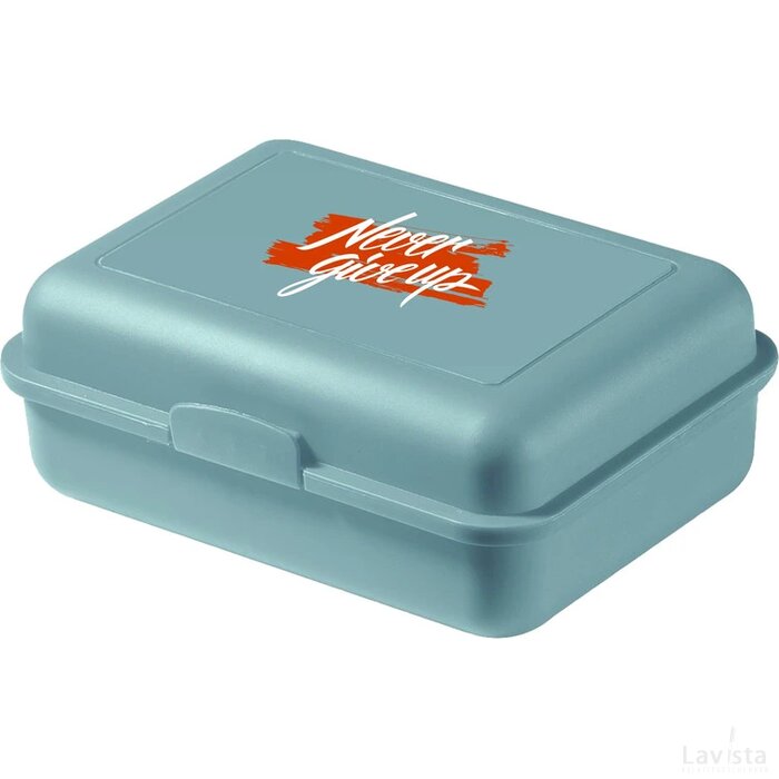 Eco Lunchbox Large Mintgroen