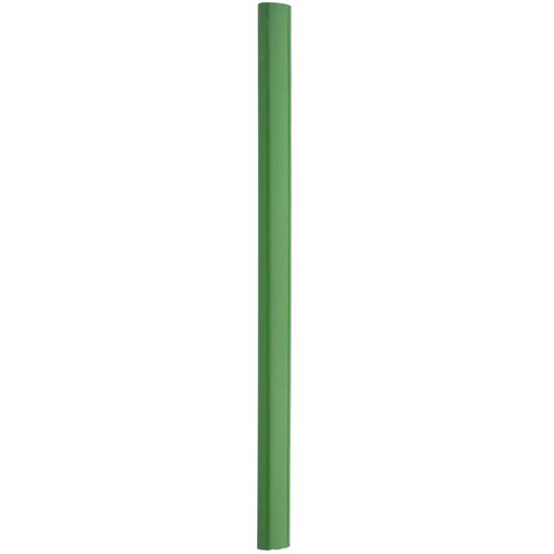 Carpenter Timmermanspotlood Groen