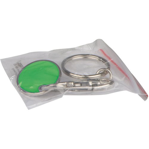 Sleutelhanger met muntje groen