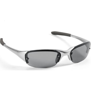 Zonnebrillen Satijn Zilver Zonnebrillen Satijn Zilver