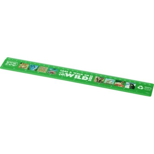 Refari liniaal van 30 cm van gerecycled plastic Groen