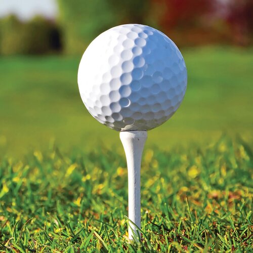 Nessa Golf Bal Wit