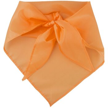 Oranje - 12 Oranje - 12