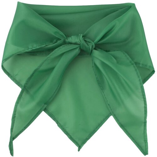 Plus Sjaal Groen