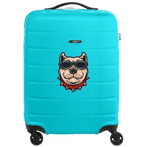 Trolley Princess Traveller Grenada cabin size mat finish 30 L