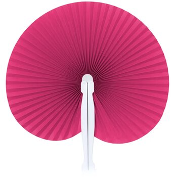 Fuchsia Fuchsia