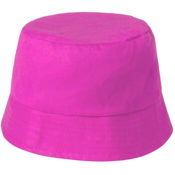 Fuchsia Fuchsia