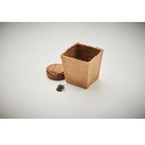 Muntzaad kweekset Mint kit beige