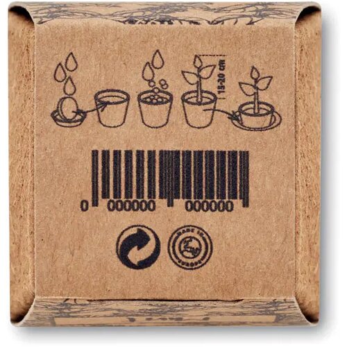 Muntzaad kweekset Mint kit beige