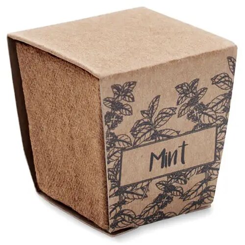 Muntzaad kweekset Mint kit beige