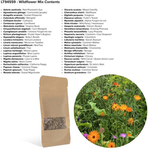 Bloemenzaad wilde bloemen 4 gram bruin