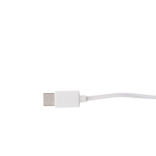 Celody Usb-C Oordopjes Wit