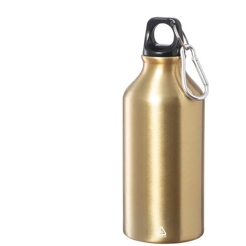 Raluto Fles Goud