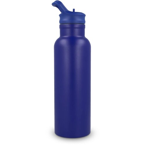 Darion Thermo fles 500ml blauw 500 ml