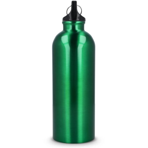 Gerecycled RVS Enkelwandige fles met Karabijnhaak 500ml lichtgroen