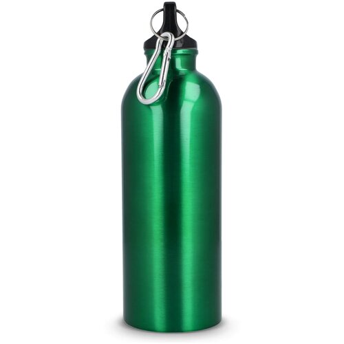 Gerecycled RVS Enkelwandige fles met Karabijnhaak 500ml lichtgroen
