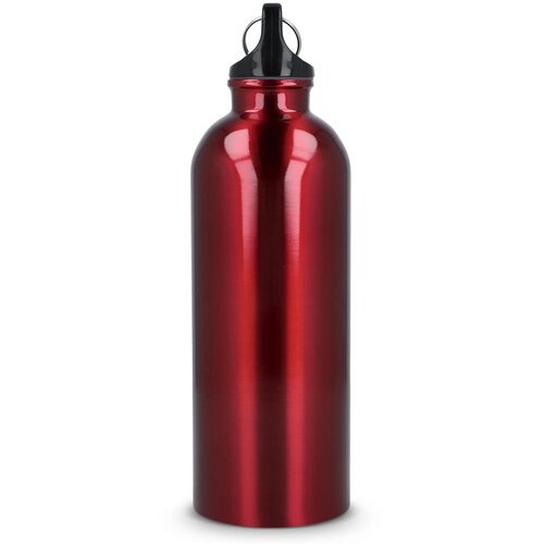 Gerecycled RVS Enkelwandige fles met Karabijnhaak 500ml rood