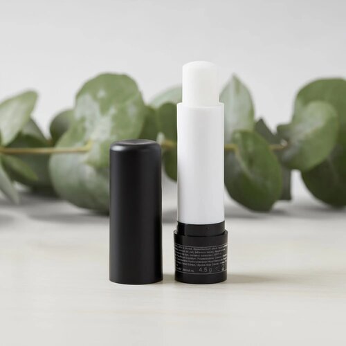 Lipbalsem stick zwart