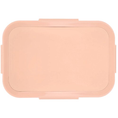 Sagaform Lunch Box Tina pastel rose