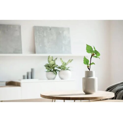 A5 berken growbook™ Savage hout