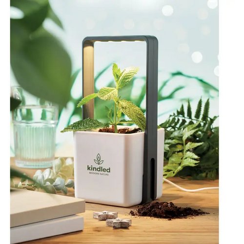 Binnentuin met led lamp Lushlet wit