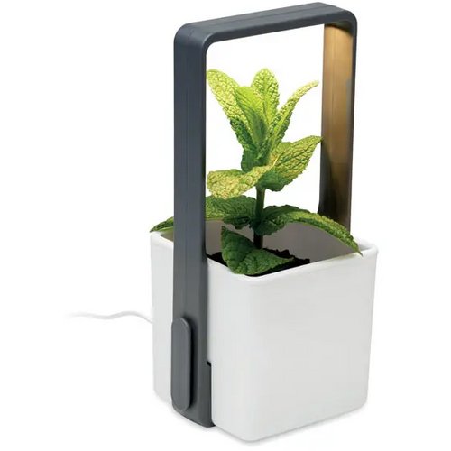 Binnentuin met led lamp Lushlet wit